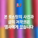 임실치즈역사문화관-주차,체험형 관광지,방문후기