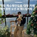 (영광 백수해안도로 카페)레드힐카페 백수해안도로 오션뷰 감상할 수 있는 영광 애견 동반 대형 카페