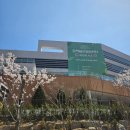 신안국민체육센터 복지회관 | 너무 기대했나..쪼꼼 실망한 솔직후기 "동백미르휴먼센터 수영장'_(무료운영기간 이용)