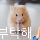 인성
