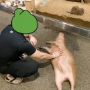 가든뽑기방 | 신비동물원 가평점&amp;아쿠아가든 내돈내산 솔직후기(할인•주차•가격)