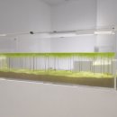 WATERSCAPE 이미지