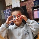 나라꽃안경 이미지