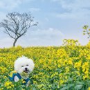 더케이호텔앤리조트(주) 더케이호텔서울 이미지