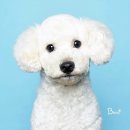 GD동물병원 이미지