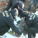 (2001년) 경북 경산 사채업자 살인사건 - 8년만에 일당 검거 이미지