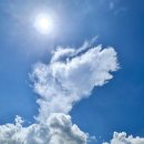 푸른하늘 이미지