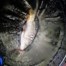 유호정낚시터 이미지