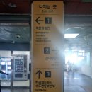 🏄‍♀️동대문구 수상스포츠 체험 후기!(이문수변공원)🚤