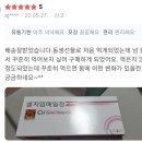 앨리스인크루즈