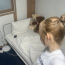 락스타진 이미지