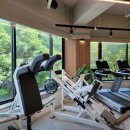 브라운 짐 이미지