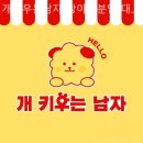 개키우는남자 강아지분양 대구본점 | 대구강아지분양 개키우는남자 강아지분양 대구본점 친절하고 전문적인 곳