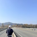 신덕1리노인회관 | 올해에도 다녀왔다! 여주 강천섬 애견동반 나들이 / 주차 꿀팁