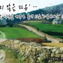 청산도느림보마을 이미지