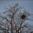 승호민박 이미지