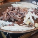 고기잔치 티스토리