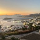 리틀미코노스6 이미지