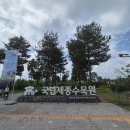 김정문알로에 대전둔산점 | 대전 근교 세종 가볼만한 곳 국립세종수목원 27개월 아기랑 다녀온 후기(입장료, 야간개장 정보)