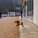 일심유치원 | 25년 1월 두리 일상