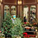 신세계유통 | 신세계 강남 백화점 스위트파크 디저트 팝업 이스트우드 에그타르트 두바이 타르트 후기