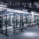 라이프피트니스안양 이미지