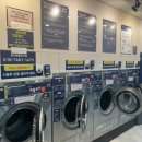 버블이 정관점 이미지