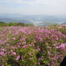 5월4일(수)[08:00출발] 경남 합천○부암산-황매산(해발1,108m) 철쭉제 이미지