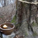 매화영농조합법인 이미지