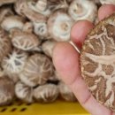 수명농장 이미지