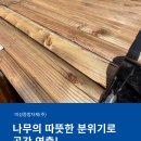 자연통나무