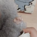 팝마트 코리아 라부부 테이스티 마카롱 A/S 후기, 마카롱 메신저백