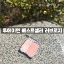 채도러브영 | 올리브영 세일 블러셔 추천! 2an 투에이엔 베스트셀러 러브로지 내돈내산 추천 후기