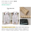 체형관리 운동센터, 더바롬스튜디오 2월 후기 모음zip(+산전 개인레슨 후기 포함)