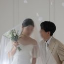 마이호니