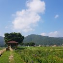 상리공원 내 이미지