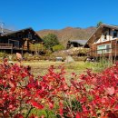 로그캐빈다래 이미지