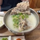 제주도 한림읍 접짝뼈국 맛집 “일억조” 평일 솔직 후기