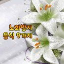 노화방지 음식 9가지 이미지