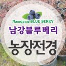 청화농업법인