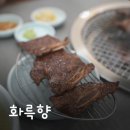 화륵향 | 들안길 점심맛집 역대급 LA갈비 화륵향 점심특선 후기
