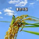 좋은사이 이미지