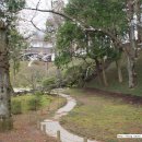 선지공원 이미지