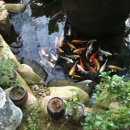 새집만석꾼 이미지