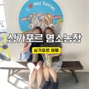 아침햇살염소농장 | 싱가포르 아이와 함께 가볼만한곳 염소농장 헤이 데어리즈