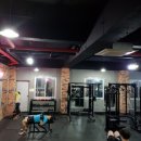 바디스트 이미지