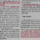 전라도 홍어 새끼들 특징 이미지