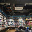 위니비니코엑스 | 코엑스몰 별마당도서관, 포스코센터 | 아이들과 크리스마스 연말 나들이, 별마당 트리 운영기간