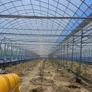 보아농장 이미지