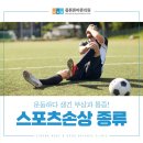 엘리트안전스포츠 이미지